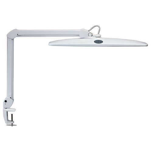 Lampe de bureau LED Work intensité réglable - A - Maul - Image principale