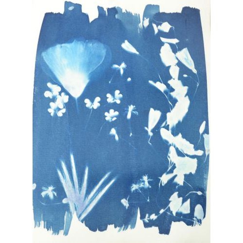 Kit 2 flacons préparation cyanotype - Image 9