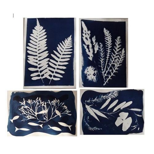 Kit 2 flacons préparation cyanotype - Image 3