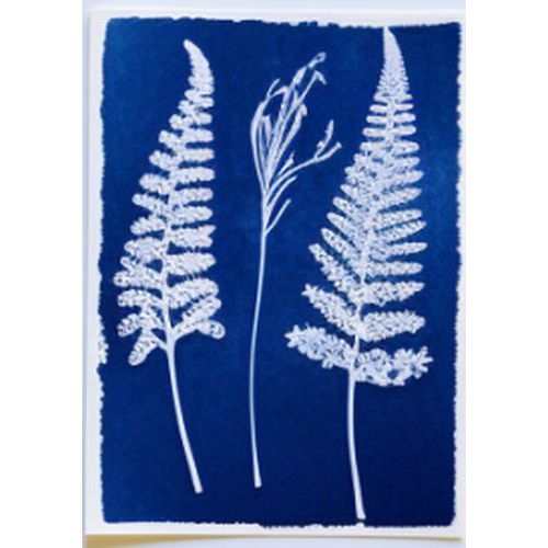 Kit 2 flacons préparation cyanotype - Image 10