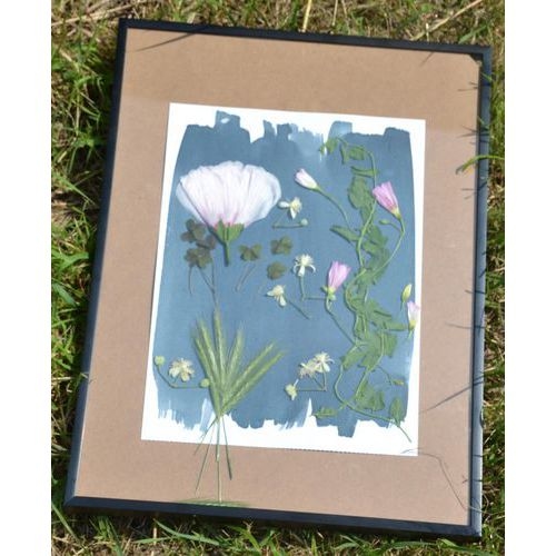 Kit 2 flacons préparation cyanotype - Image 8