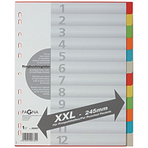 Set de 6 Intercalaires en carton, format A4, 12 positions,extra - Image principale