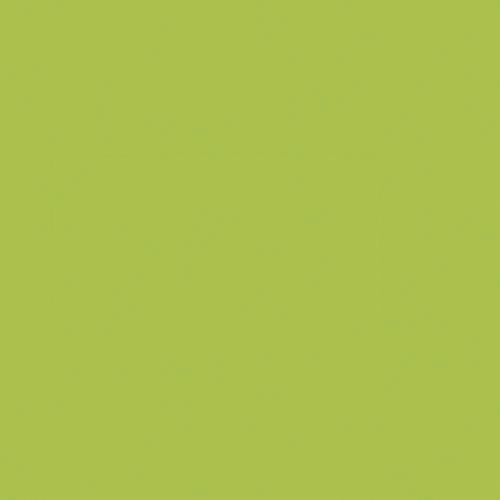 Meuble patère à cases Zébulon, coloris vert pomme - Image 2