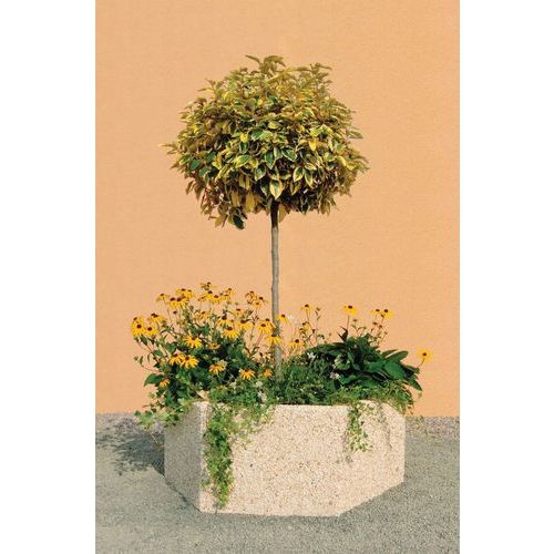 Jardinière Byblos hexagonale 150 x 112 x 55 cm beige - ciment blanc - Image principale