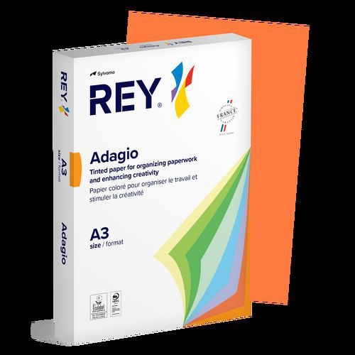 Ramette couleur vive 500 feuilles 80g A3 à la teinte - Rey - Image 8