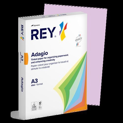 Ramette couleur vive 500 feuilles 80g A3 à la teinte - Rey - Image 5