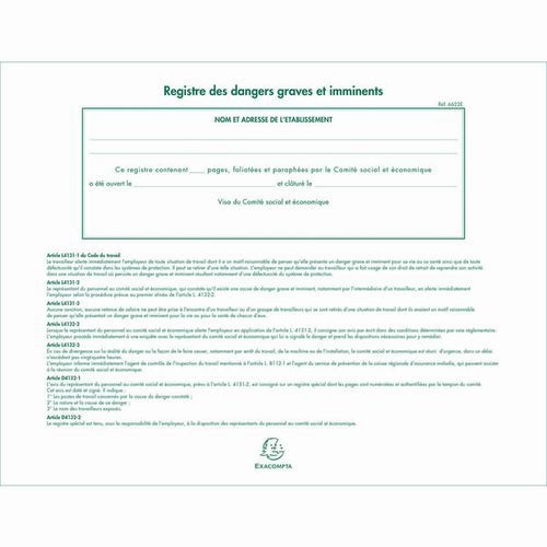 Piqûre Registre des dangers graves et imminents  20 pages - Image 2
