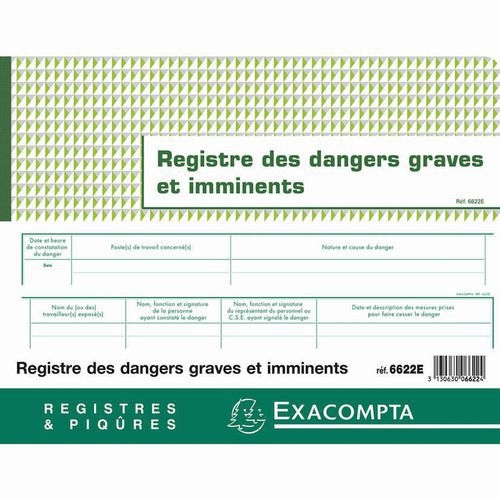 Piqûre Registre des dangers graves et imminents  20 pages - Image 4