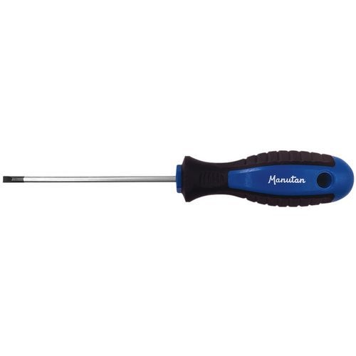 Tournevis ergonomique pour vis fente - Manutan Expert - Image principale