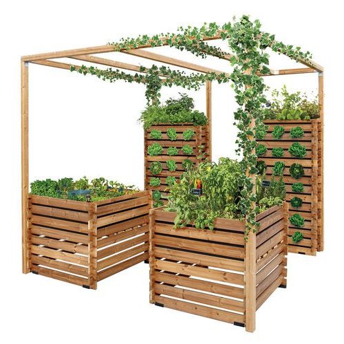 Mur bac pergola - 2 bacs à hauteur - 2 murs végétaux - Image 2