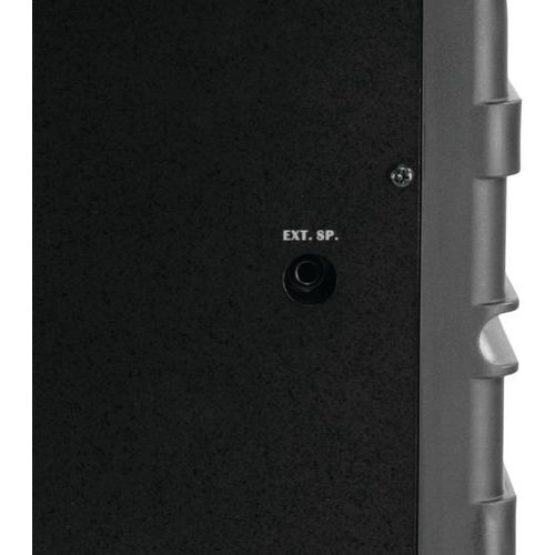 Enceinte passive 70W MA 707EXP pour  MA 707 - Mipro - Image 3