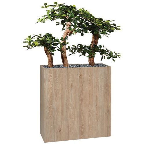 Jardinière bois BOSCO Bonzaî - Image principale