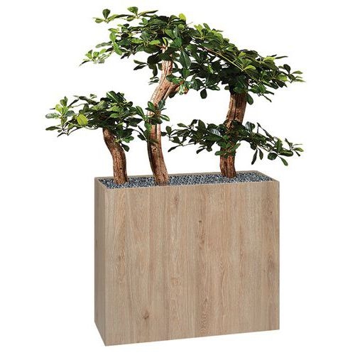 Jardinière bois BOSCO Bonzaî - Image 2