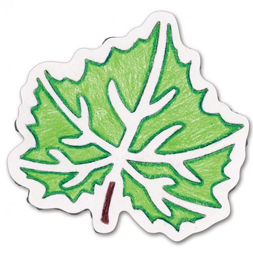 Ensemble de 12 pochoirs variétés de feuilles d'arbres 200 x 200 mm - Image 6