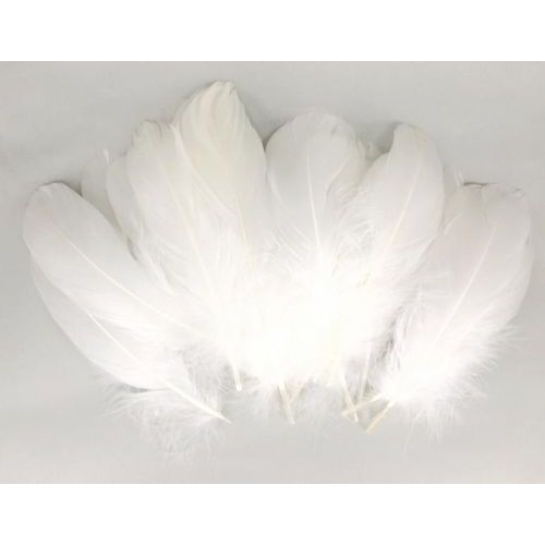 Sachet de 1000 plumes assorties - Image 8