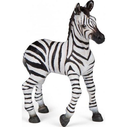 Les animaux sauvages - Image 6