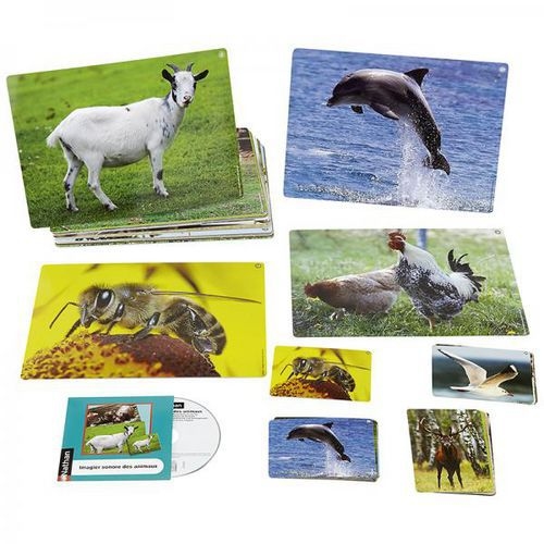 Imagier sonore des animaux - Image 2