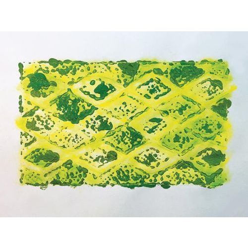 Lot de 10 plaques animaux sauvages 21.5 x 15 cm - Image 5