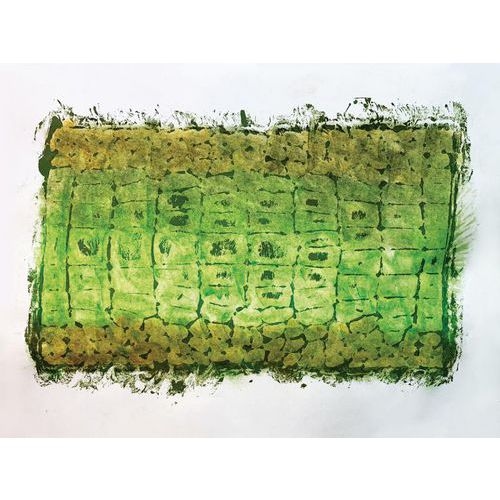 Lot de 10 plaques animaux sauvages 21.5 x 15 cm - Image 3
