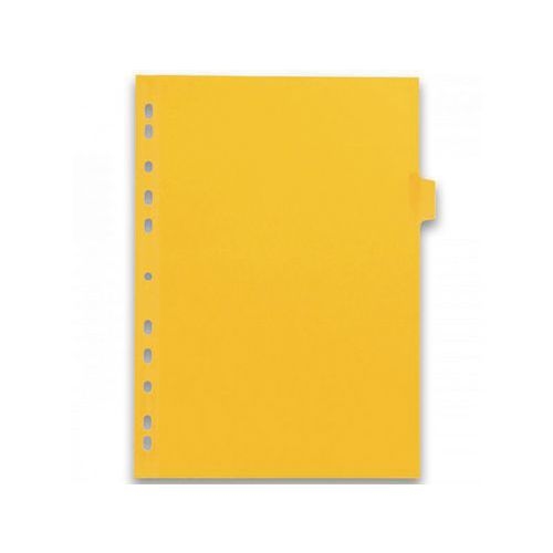 Intercalaires Neutres Color Life A4 12 Positions Carte Lustrée Epaisseur 220g Coloris Assortis - Image 3