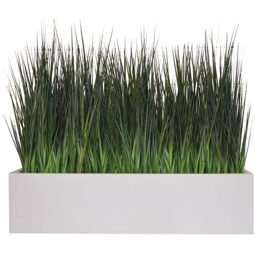 La jardinière graminée - Image principale