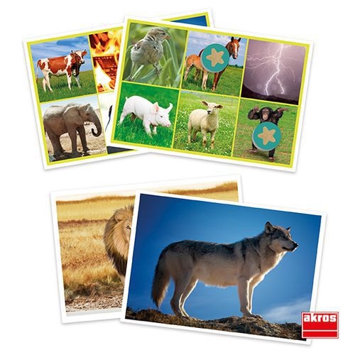 Loto sonore animaux et nature - Image 2
