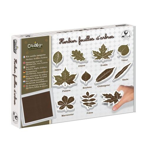 Kit de 10 tampons feuilles herbier + 1 encreur - Image principale