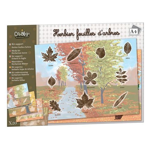 Kit de 20 feuilles 21x29,7 cm herbier - Image principale