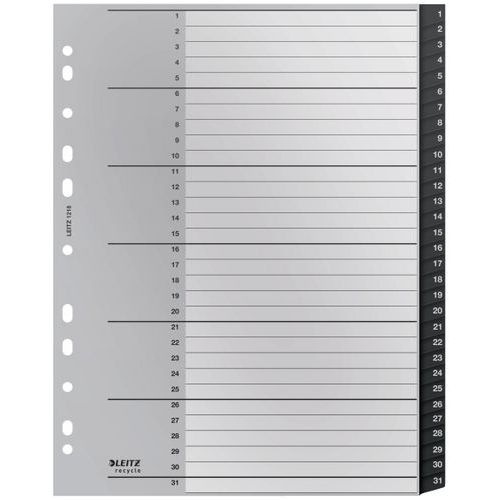 Lot de 10 Intercalaires  Re:Cycle - numérique 1 à 31 -  Leitz - Image 3