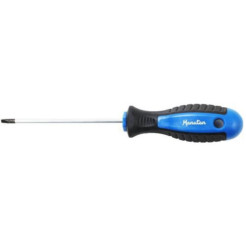 Tournevis pour vis fente 4mm - Manutan - Image principale