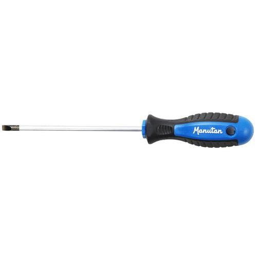 Tournevis pour vis fente 5,5mm - Manutan - Image principale