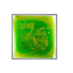 Dalle sensorielle lumineuse - Vert - Image principale