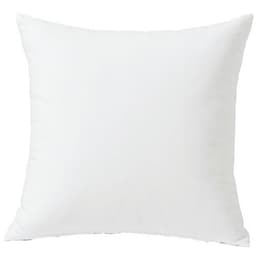 Lot de 10 Oreillers 65  x 65 anti-acariens - Image principale