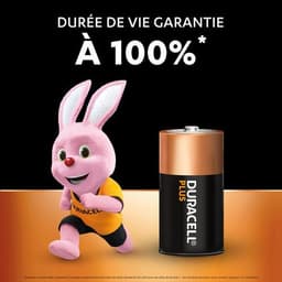 Lot de 2 Duracell Plus 100% C X2 - Image 2