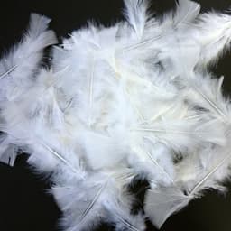 Plume blanche (Sachet de 100) - Image principale