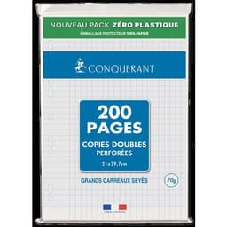 Copies doubles 200 pages 70g A4 perforées seyes NF 85 (Etui de 50) - Image principale