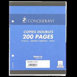 Copies doubles 200 pages 70g 17x22 cm perforées seyes NF 81 (Etui de 50) - Image principale