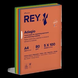 Ramette 500 feuilles A4 80g 5 teintes vives assorties - Image principale