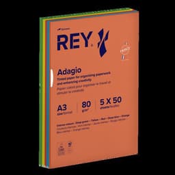 Ramette 250 feuilles A3 80g 5 teintes vives assorties - Image principale