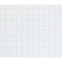 Cahier polypropylène 96 pages Seyes 24x32 cm 80g - Pichon - Image 4