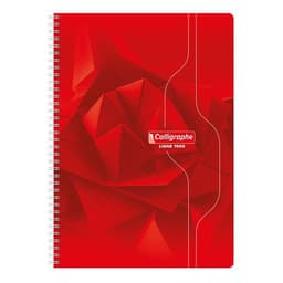 Cahier reliure hélicoïdale A4 100 pages 5x5 70g - Image 3