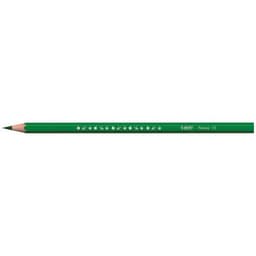 Etui 12 crayons 17,5 cm Tropicolor Bic - Image 3