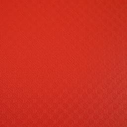 Reliure plastique 60 volets transparents - Rouge - Image 4