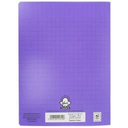Cahier polypropylène 96 pages Seyes 17x22 cm 80g - Pichon - Image 3