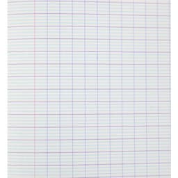 Cahier 17x22 cm 70g 48 pages seyes écolier NF 08 - Image 5