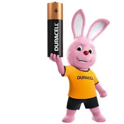 Pile alcaline LR14/C x2 DURACELL 100%PLUS - Image 3