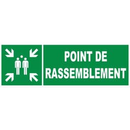 Panneau d'évacuation-secours - "Point de rassemblement" - Rigide - Image principale