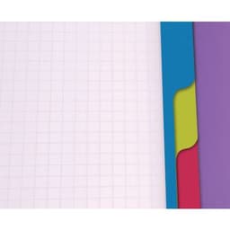 Linicolor Evolutiv'Book 16x21cm 180p Q.5x5 cadré perfo. 6 trous - Lot de 5 - Image 3