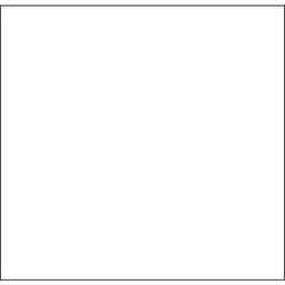 Lot de 30 Étiquette pour pince Proline XL Blanc - Image principale