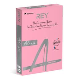 Ramette couleur vive 500 feuilles 80g A4 à la teinte - rose vif - Image principale